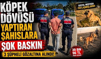 KÖPEK DÖVÜŞÜ YAPTIRAN ŞAHISLARA ŞOK BASKIN