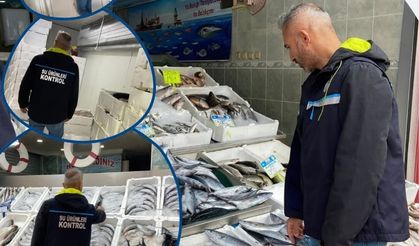 Balık popülasyonu için ekipler sahada!