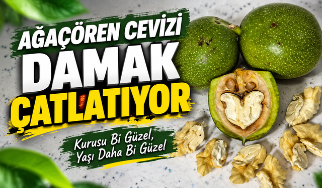 Ağaçören cevizi damak çatlatıyor