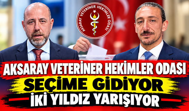 Aksaray Veteriner Hekimler Odası Seçime Gidiyor: İki Yıldız Yarışıyor