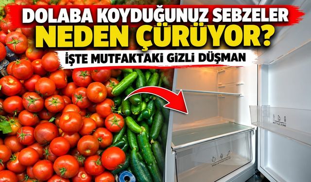 Dolaba koyduğunuz sebzeler neden çürüyor? İşte mutfaktaki gizli düşman