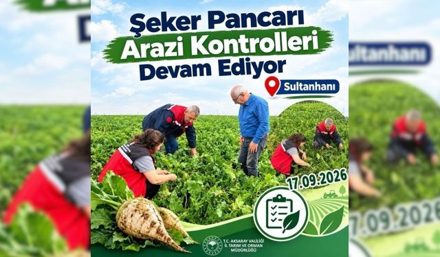Şeker pancarı tarlaları mercek altında