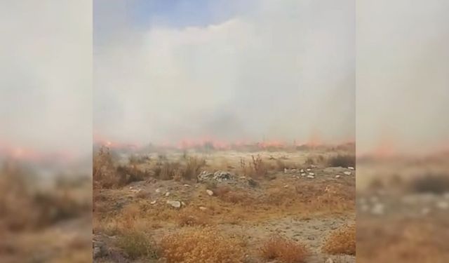 Şabanlı-İkizce yolunda yangın
