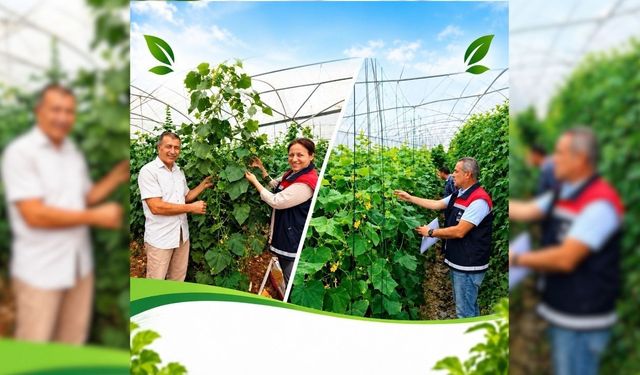 Seralarda üretim takibi sürüyor