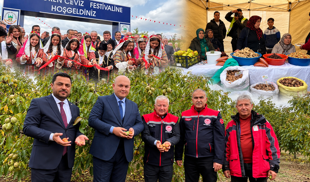 Ağaçören’de 5. ceviz şöleni başladı
