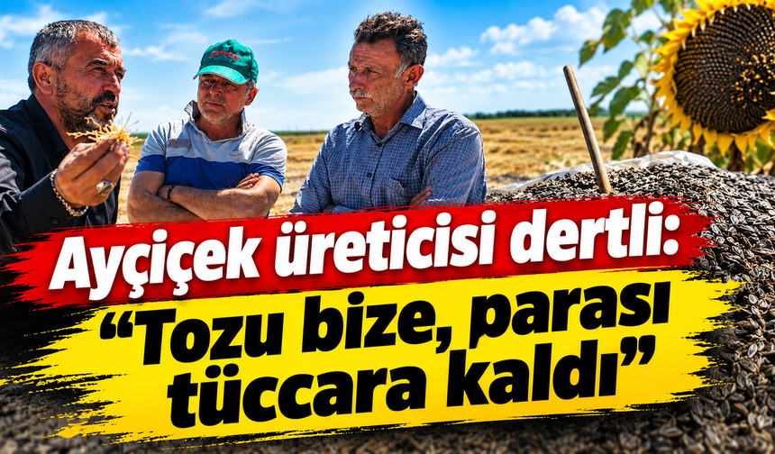 Ayçiçek üreticisi dertli: "Tozu bize, parası tüccara kaldı"
