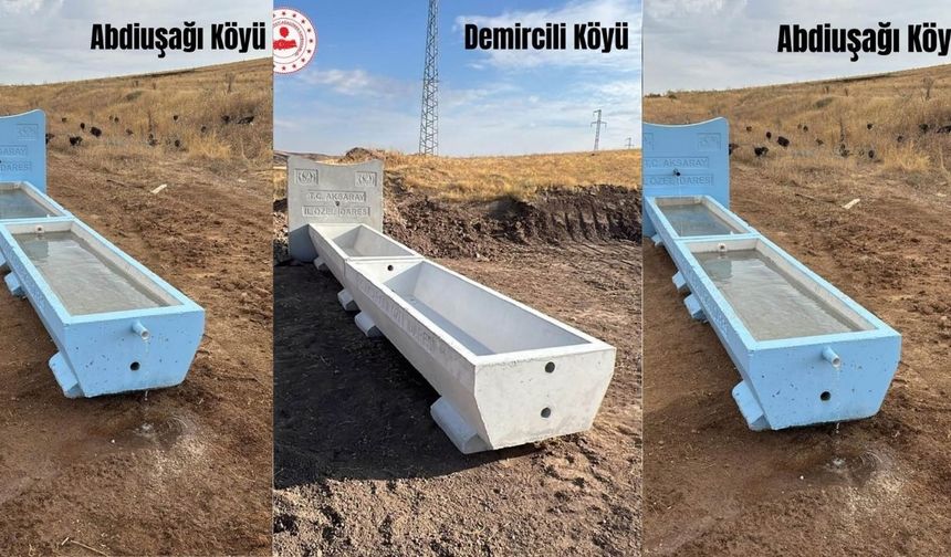 Ağaçören’de 9 köye hayvancılık desteği