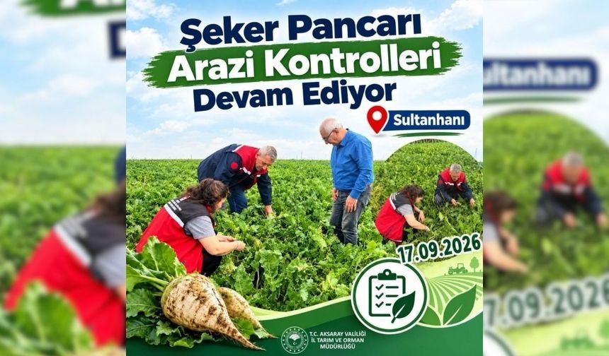 Şeker pancarı tarlaları mercek altında