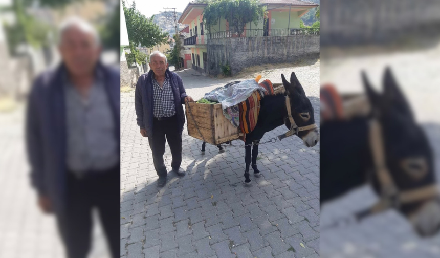 Aksaray'da yarım asırlık gelenek: Eşek sırtında üzüm satışı