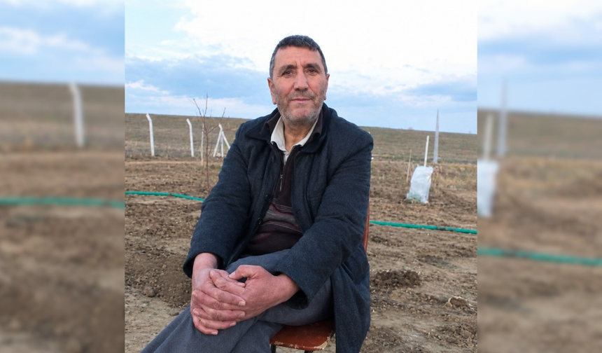 Yardım etmek için gitmişti! Kesilen ağacın altında can verdi