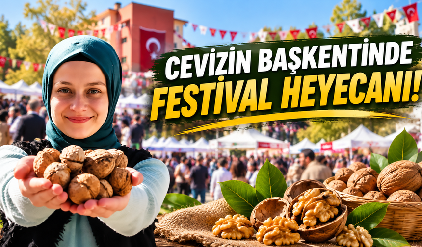 Cevizin başkentinde festival heyecanı!