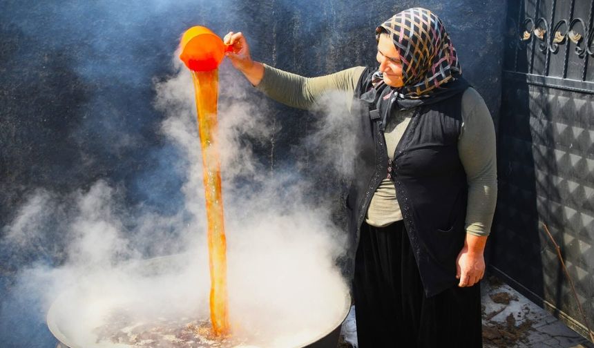 4. bağ bozumu ve pekmez festivali başlıyor!