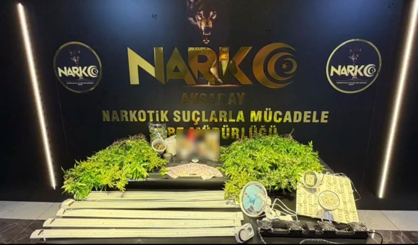 Narkotik’ten kenevir operasyonu!
