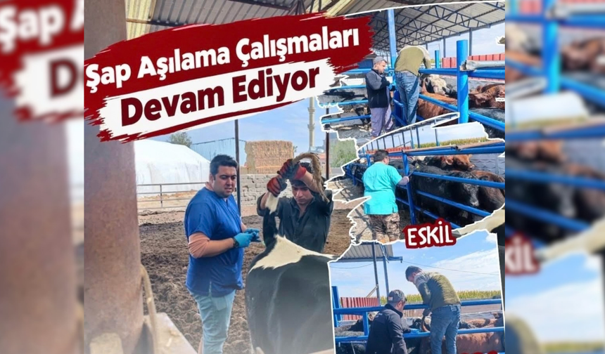 Eskil'de şapa karşı sahada nöbet var